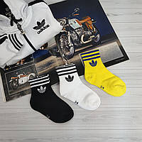 Детские высокие хлопковые носки Adidas 15 / 2-3 года , Желтый