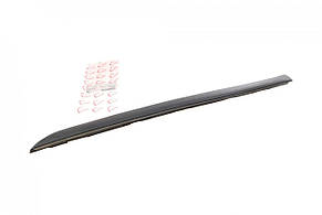 Накладка скла лобового Mercedes Vito (W638) 96-03 (R) Rotweiss RWS1704