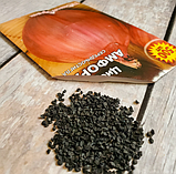 Насіння цибулі Амфора, фото 4