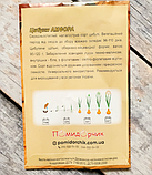 Насіння цибулі Амфора, фото 2