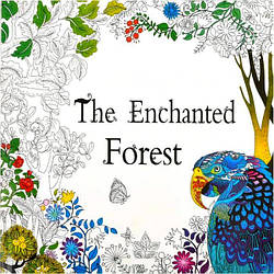 Розмальовка Антистрес "The Enchanted Forest", 24 сторінки MX-015