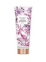 Парфумований лосьйон для тіла Victoria's Secret Jasmine & Elderberry Bliss Fragrance Lotion