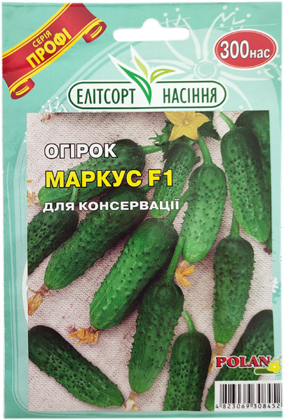 Насіння огірків для засолювання Маркус F1 300 насінин ранньостиглий, фото 1