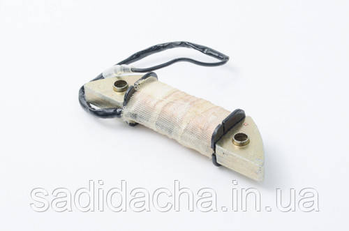 Катушка зажигания,магнето на 12V двигателя 168F