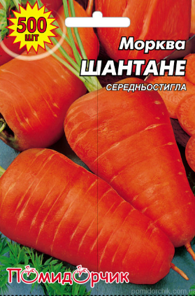 Насіння моркви Шантане, фото 1