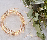 Гірлянда Роса дріт 50led довжина 5 метрів колір теплий на батарейках, фото 2