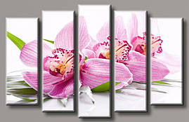 Модульна картина на полотні з 5 частин "Ніжна орхідея"