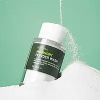 Энзимная пудра для умывания с полынью ISNTREE Spot Saver Mugwort Powder Wash 15 г