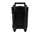 Колонка комбік Golon RX-2900 BT c Bluetooth і мікрофоном, фото 3
