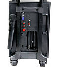 Колонка комбік Golon RX-2900 BT c Bluetooth і мікрофоном, фото 4