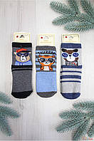 Носки махровые для мальчика Cool Animals (14 / 1-2 года см.) DBG socks