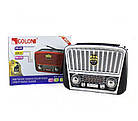 Портативна колонка MP3 USB Golon RX-456S Solar з сонячне панеллю, Black Grey, фото 6