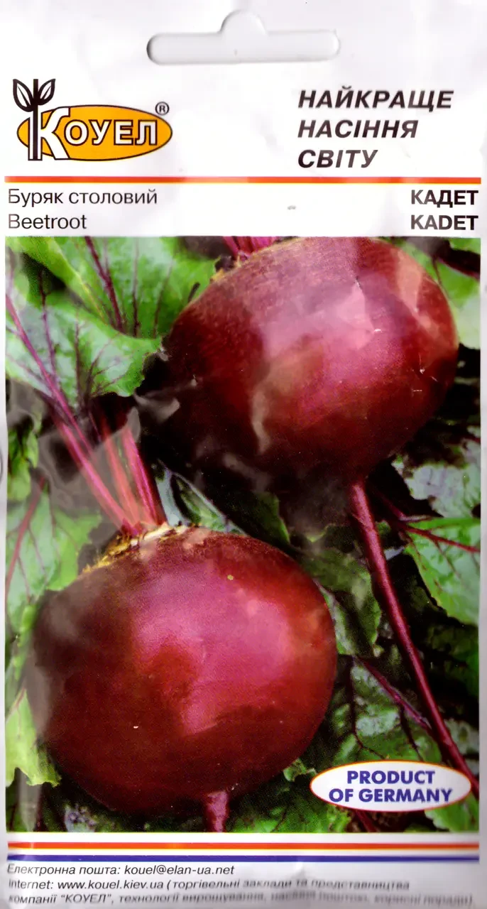 Буряк столовий Кадет 3г (Коуел)