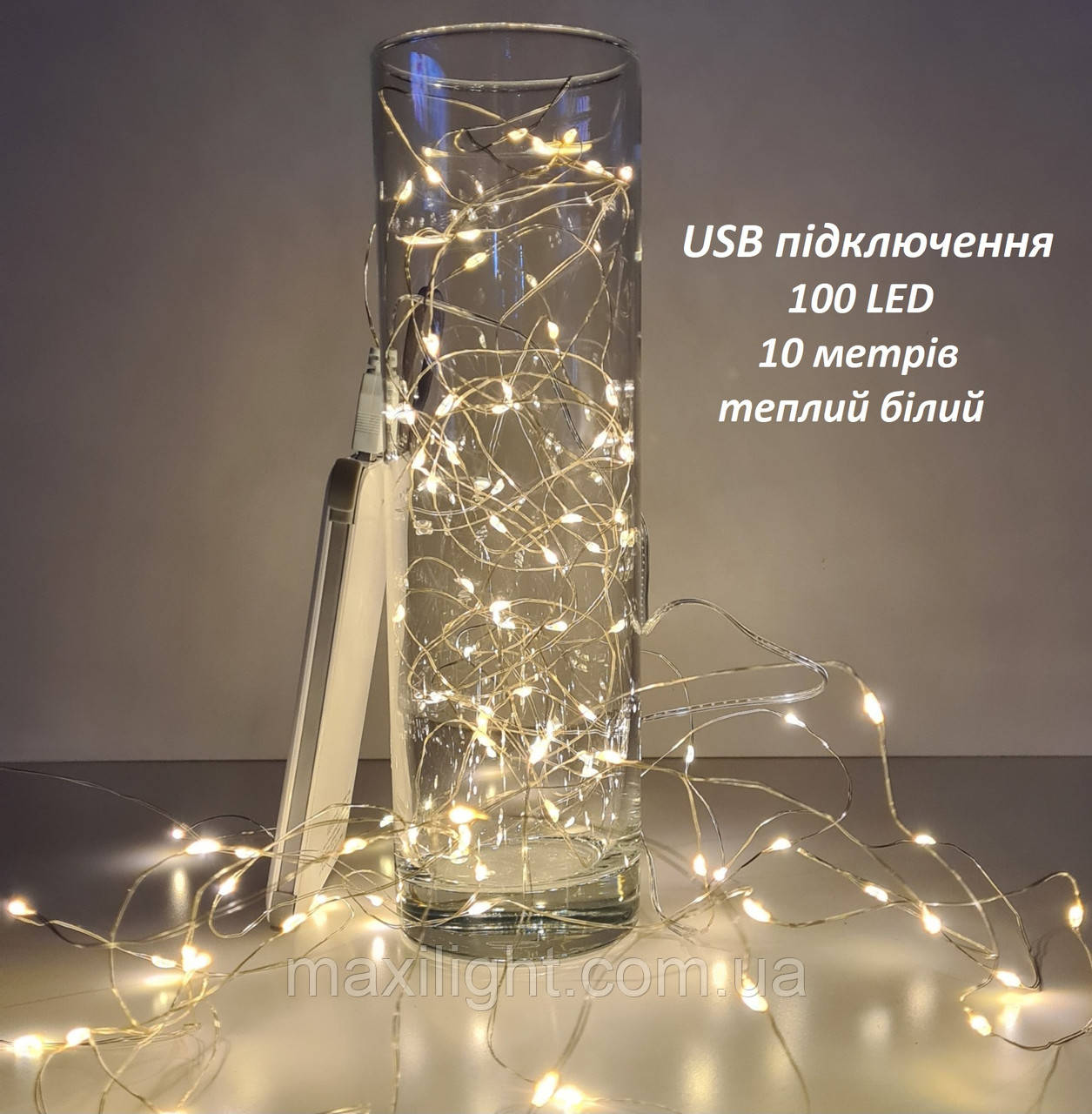 USB світлодіодна гірлянда "РОСА" DC 5V 10 метрів 100 LED теплий білий 3500K