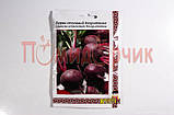Насіння буряків столове "Негритятко" велика пачка 20 г, фото 3