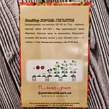 Насіння томату Король гігантів, фото 2