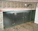 Скляні дверцята під ванну, фото 2