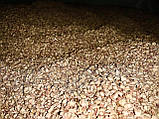 Паливні гранули з кукурудзи, [5кг пакет], фото 2