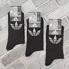 Шкарпетки жіночі спортивні високі весна/осінь чорні р.36-41 AD трекінгова гумка 30037243
