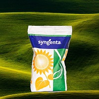 Насіння соняшнику СИ Ласкала, Syngenta ( Класичний )