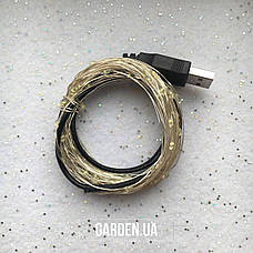 Гірлянда Роса GARDEN від USB 10 м білий, фото 2