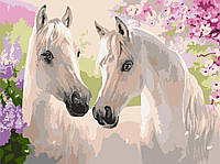 Картина по номерам Пара лошадей, ArtCraft 30х40 (11664-NN)