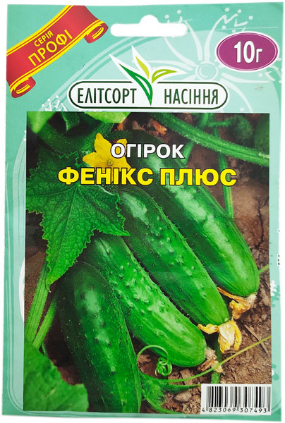 Огірки насіння Фенікс плюс 10 г середньоздалей