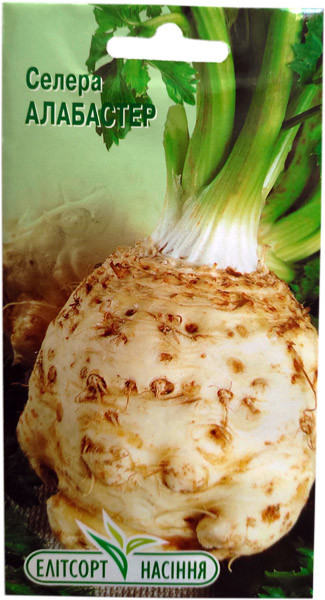 Насіння селери кореневої Алабастер 0,5 г середньостиглий, фото 1