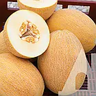 Диня Амал F1 Clause/Франція 5 шт., фото 2