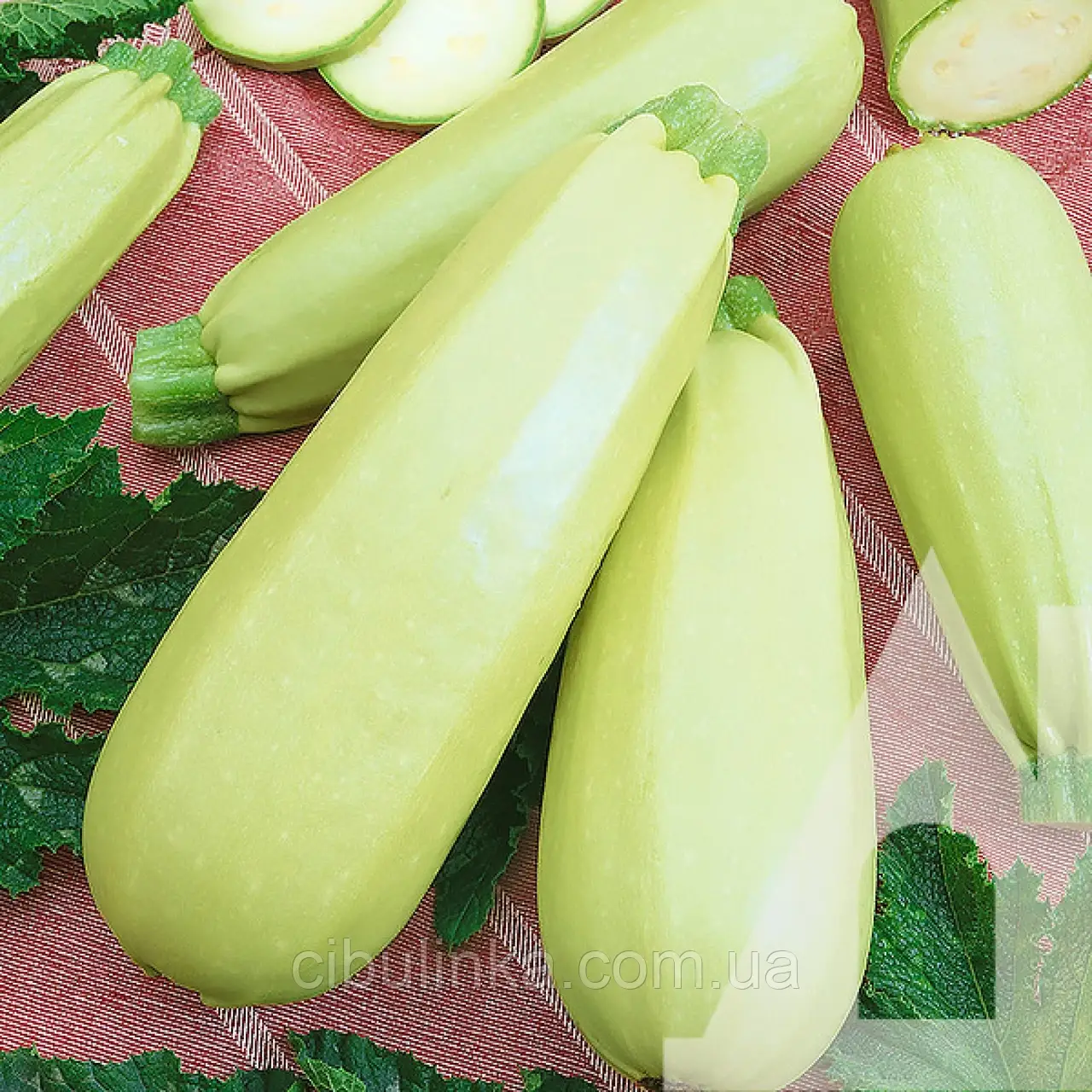 Кабачок Карізма F1 Syngenta/Нідерланди 5 шт, фото 1