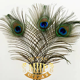 Пір'я павича, гусака, фазана