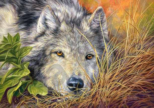 Пазл 500 ел. "Castorland" (Польща) / Вовк, фото 1