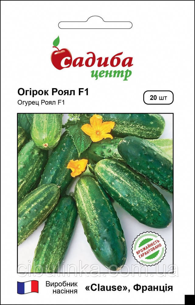 Огірок Роял F1 Clause Франція 20 шт, фото 1