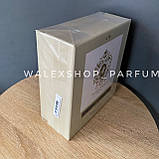 Духи Унісекс Tiziana Terenzi Halley Comete 100 ml Тізіана Терензі Галлея Комета 100 мл, фото 9