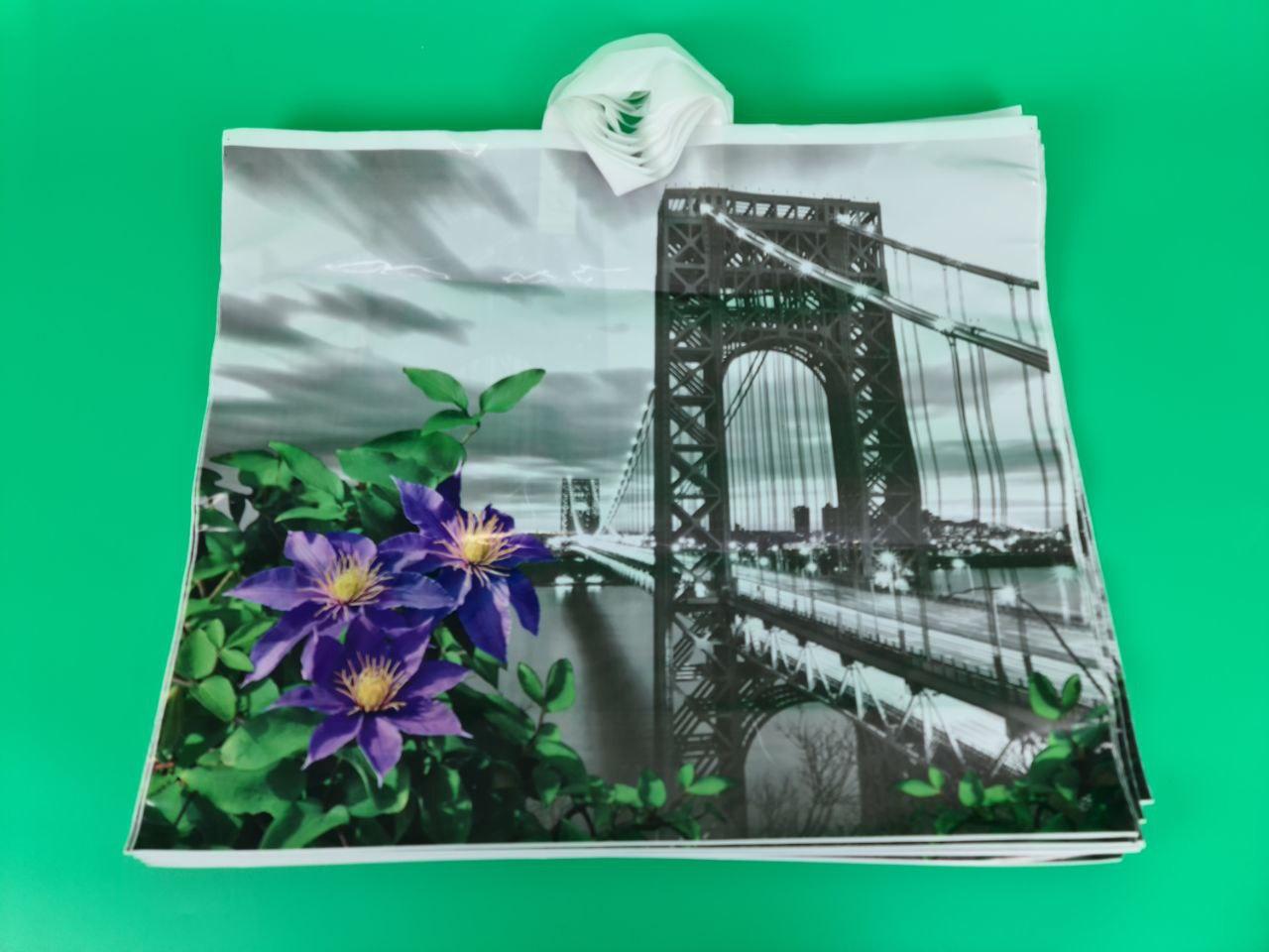 Пакет 60*50 петлева ручка Міст Комсерв (25 шт.), фото 1