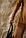 Костюм з брюками палацо колір кемел, фото 6