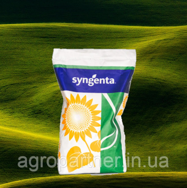 Насіння соняшнику Суміко, Syngenta ( під Гранстар ) - фото 1 - id-p1556548631