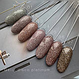 Світловидбиваючий гель лак с платиной GeliX Disco Platinum 10, фото 4