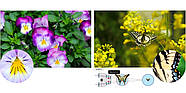 Бінокль Pentax UP 6.5x21 Papilio II (62001), фото 10