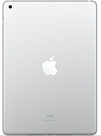 Корпус (задняя крышка) iPad 10.2 2019 Wi-Fi Silver Original