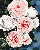 Картина по номерам Бутоны пышных роз 40x50 Холст на деревянном подрамнике Набор для рисования Brushme BS40586