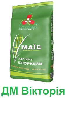 Насіння кукурудзи ДМС 3111 (ФАО 310) "Компанія МАІС" (Дніпро)