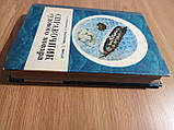Книга посібник судового кухаря М.Бучкарик, фото 3