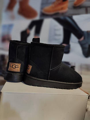 Уггі замшеві короткі еко замша жіночі чорні UGG ЗИМА, фото 6