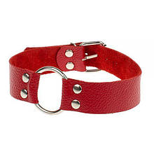 Нашийник Passion, Red