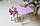 Фіолетовий прямокутний столик і стільчик дитячий метелик з білим сидінням. Фіолетовий дитячий столик, фото 10