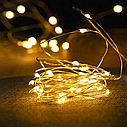 Гірлянда на батарейках Xmas 20 Led Copper Bottle Warm White, фото 3