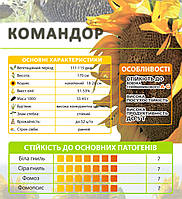 подсолнечник семена гибрид КОМАНДОР (классический A-G) 2023,посевной материал ЕКСТРА