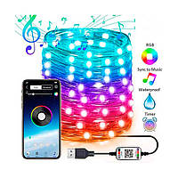 Гірлянда новорічна РОСА, 10 м, на 100 led-діодів, USB, BlueTooth, RGB, керування телефоном