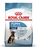 Сухой корм Royal Canin Maxi Puppy для щенков крупных пород от 2 до 15 месяцев 1 кг